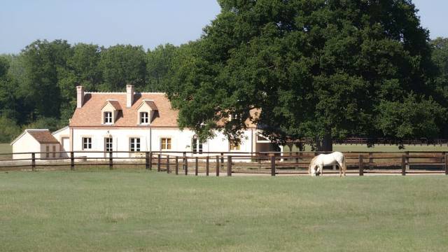 Hippisch vastgoed Koop Loir-et-Cher