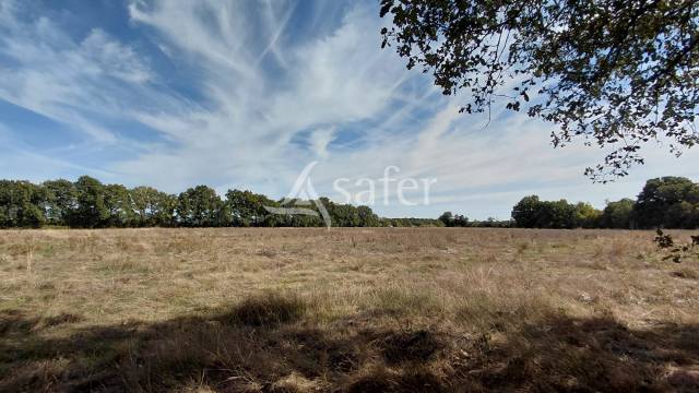 Landbouw bedrijf Koop Vienne