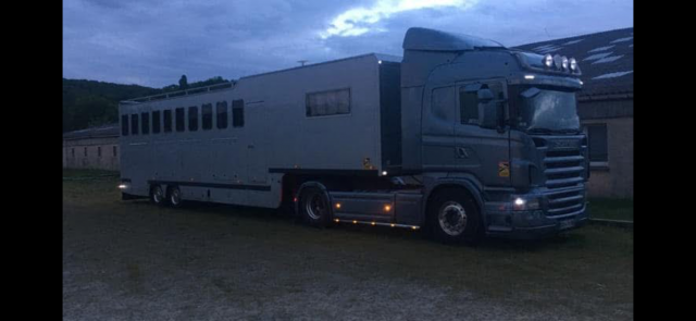 Paardentruck Scania R420 2008 Tweedehands