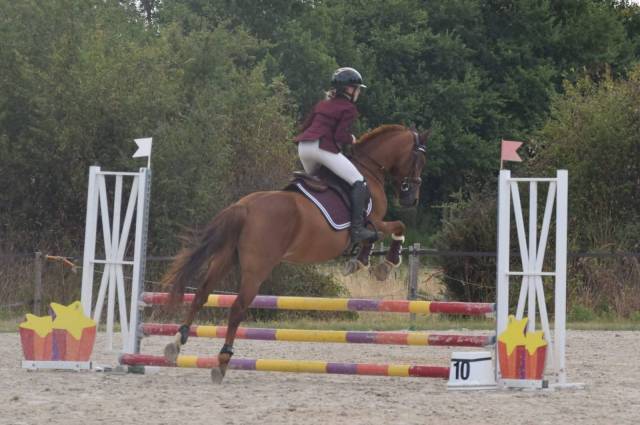 Merrie Franse rijpony PFS Te koop 2021 Vos