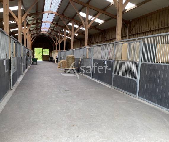 Hippisch vastgoed Koop Calvados