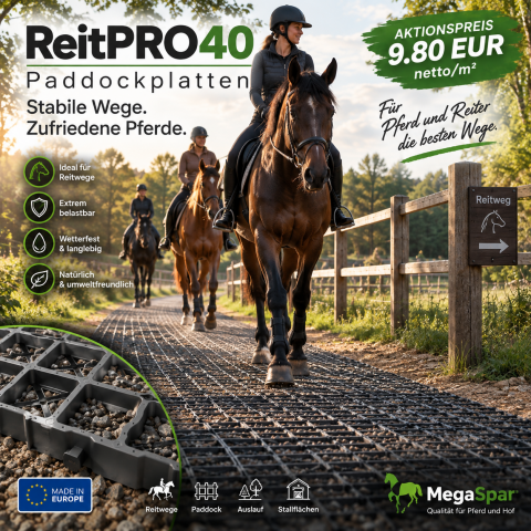 Paddockplaten voor paarden kopen -&nbsp;Grasroosters
