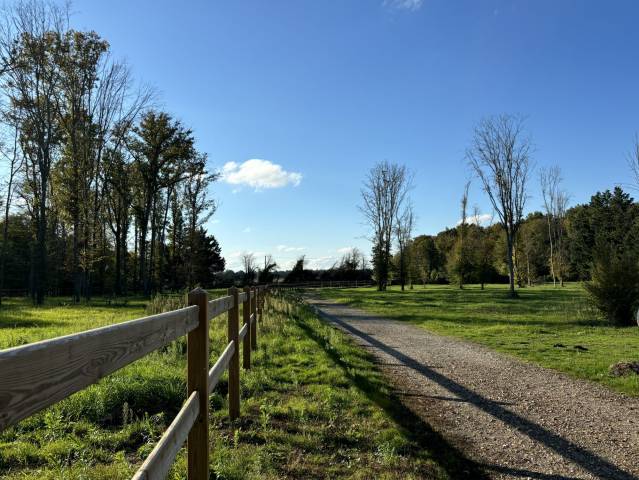 Eigenaren stal Koop Loiret