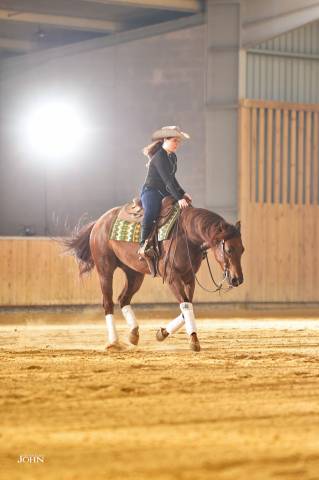 Ruin Quarter Horse Te koop 2019 Vos