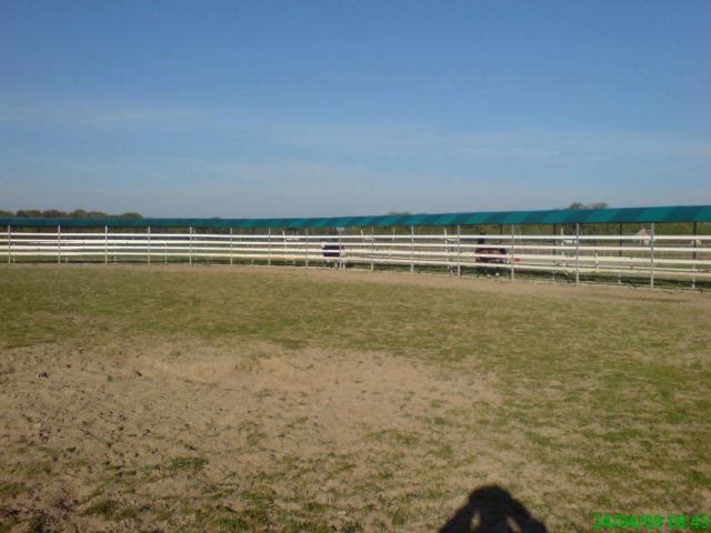 Paarden loopmachine Telehorse.com Nieuw