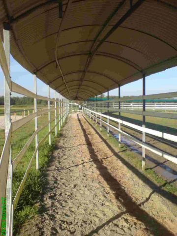 Paarden loopmachine Telehorse.com Nieuw