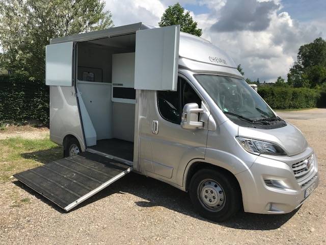 Kleine paardenvrachtwagen (B rijbewijs) Fiat  Ducato 2019 Nieuw