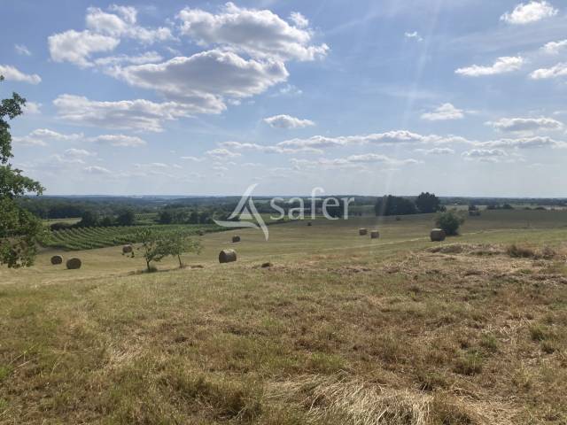 Hippisch vastgoed Koop Lot-et-Garonne