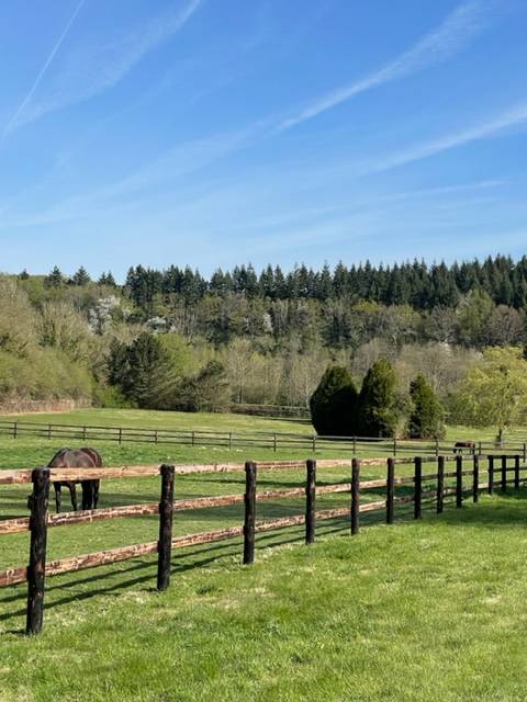 Paarden verzorger - Freelance contract Deeltijds - Calvados Frankrijk
