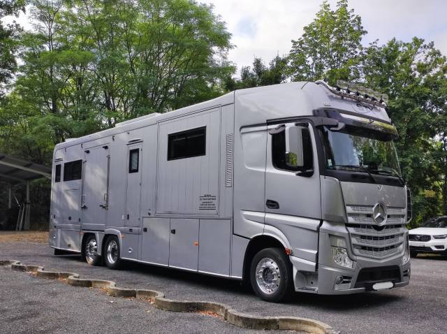 Zware paardenvrachtwagen (groot rijbewijs) STX MERCEDES 2018 Tweedehands