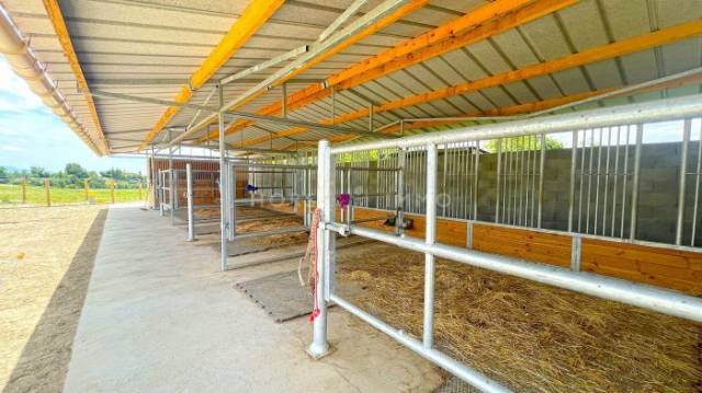 Hippisch vastgoed Koop Drôme