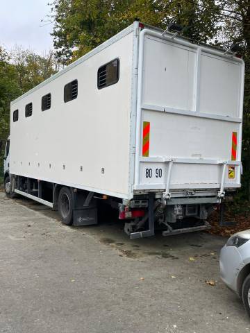 Zware paardenvrachtwagen (groot rijbewijs) Renault RENAULT PREMIUM 280 2008 Tweedehands