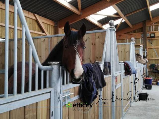 Eigenaren stal Koop Ile-et-Vilaine