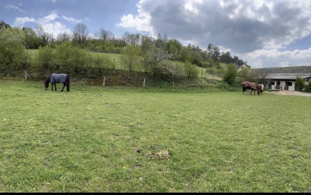 Hippisch vastgoed Koop Yonne