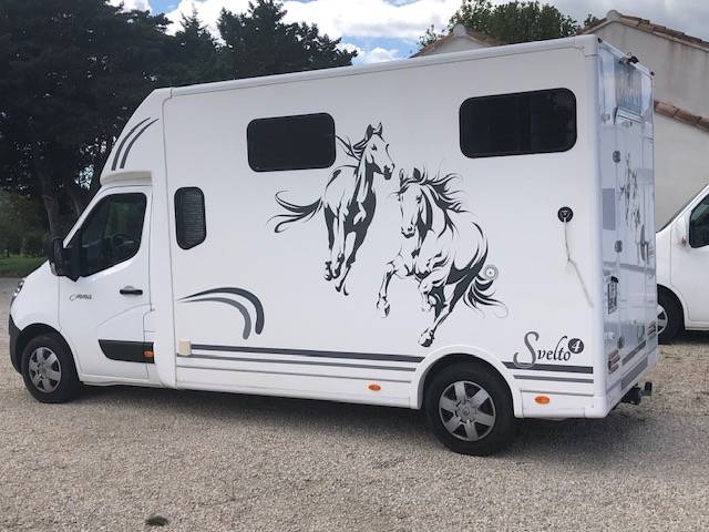 Kleine paardenvrachtwagen (B rijbewijs) Trans Box Svelto 4 2020 Tweedehands