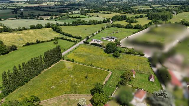 Hippisch vastgoed Koop Orne