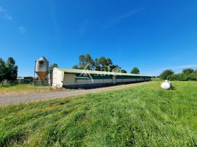 Landbouw bedrijf Koop Hautes-Pyrénées