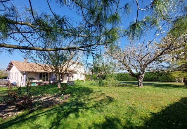 Schapen exploitatie Koop Gironde