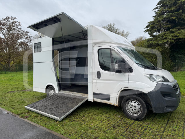 Kleine paardenvrachtwagen (B rijbewijs) AP Petit  2017 Tweedehands