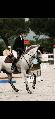 Augenblick YSANDRE  - Franse rijpony PFS 2010