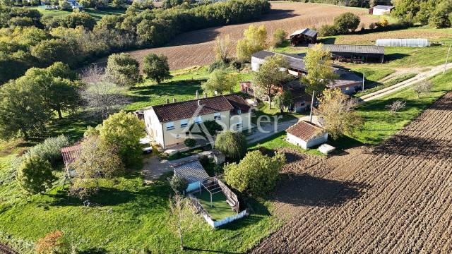 Schapen exploitatie Koop Tarn-et-Garonne