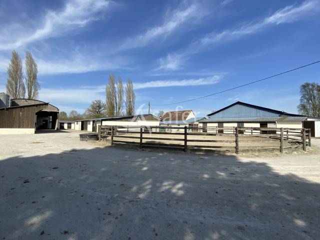 Hippisch vastgoed Koop Orne