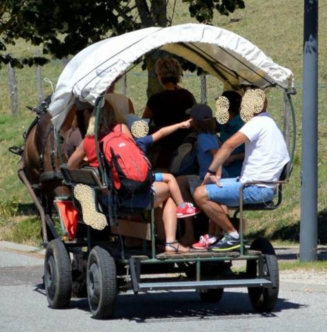 Rijtuigen - Calèche - Ander merk -  