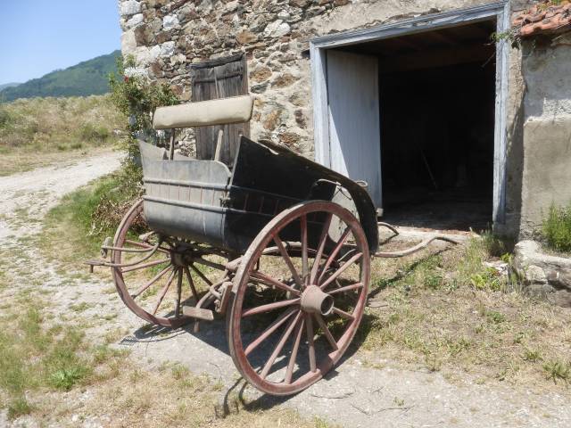 Rijtuigen - Calèche   
