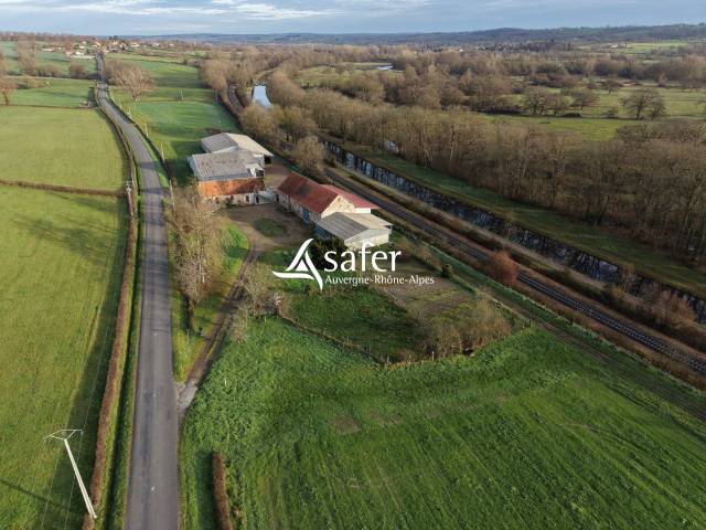 Schapen exploitatie Koop Allier