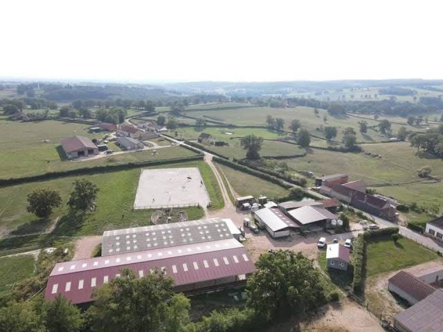 Stoeterij Koop Saône-et-Loire