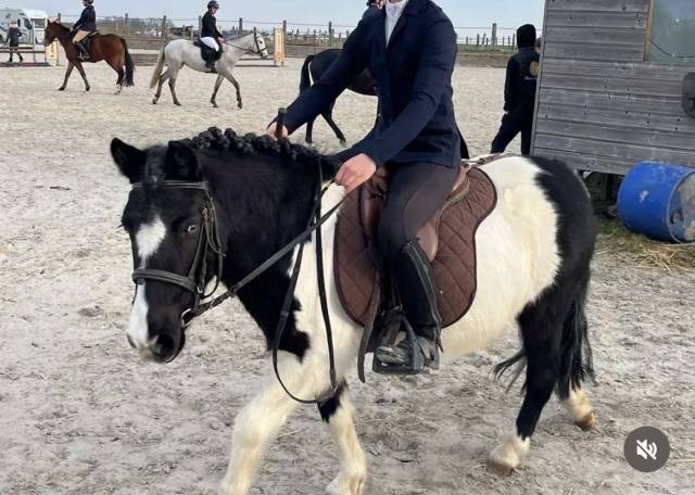 Merrie Bekend ras Te leen 2011 Bont