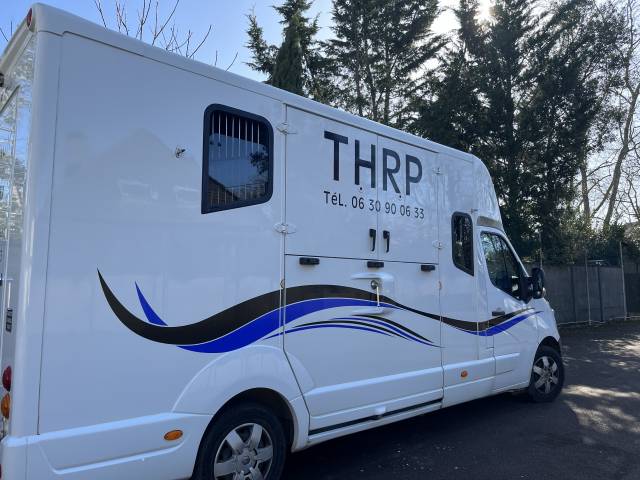 Kleine paardenvrachtwagen (B rijbewijs) Renault Filovan master  2018 Tweedehands