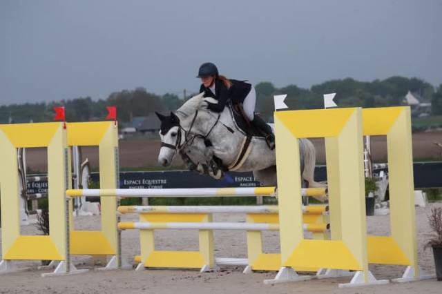 Merrie Connemara Te leen 2019 Schimmel ,  CAORANBEG CHAMP
