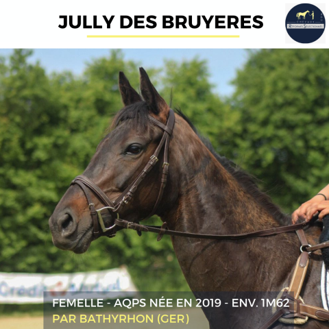 Merrie Autre Que Pur-Sang (Geen volbloed) Te koop 2019 Zwart ,  BATHYRHON (GER)