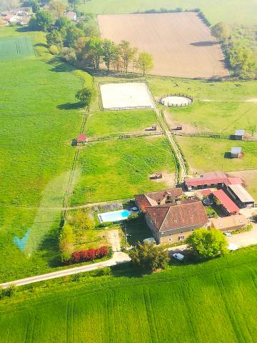 Hippisch vastgoed Koop Landes