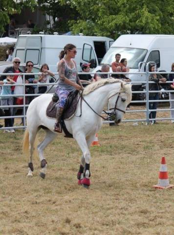 Merrie CDE Caballo Deporte Espanol Te koop 2005 Schimmel