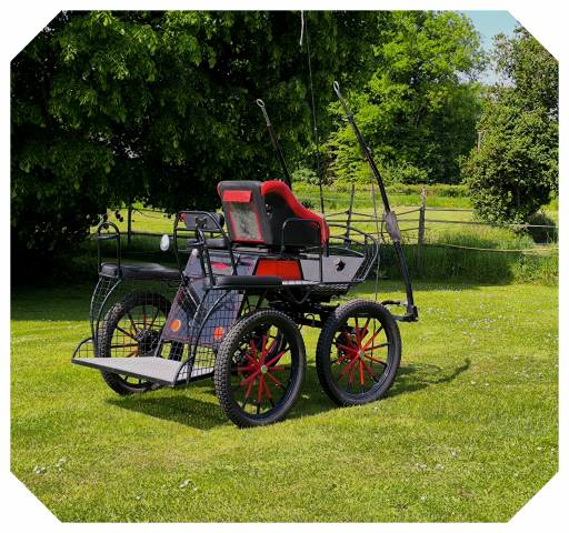 Rijtuigen - Calèche - Ander merk - Caleche EQUITECH VELOCE 125 L 