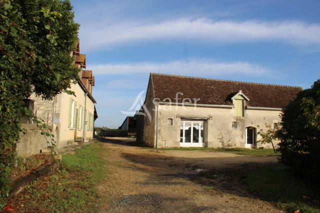 Landbouw bedrijf Koop Indre-et-Loire
