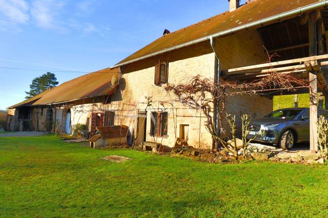 Schapen exploitatie Koop Jura