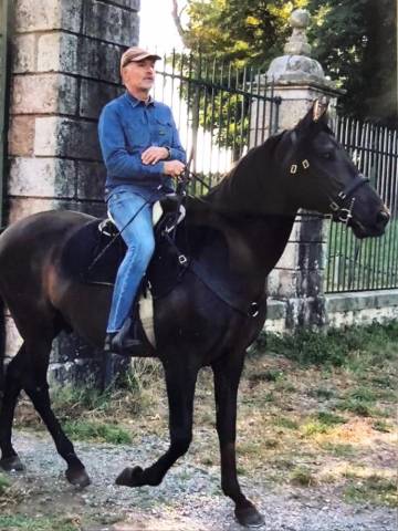 Ruin Lusitano Te koop 2007 Zwart ,  VALSEUR RBO