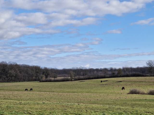 Hippisch vastgoed Koop Saône-et-Loire