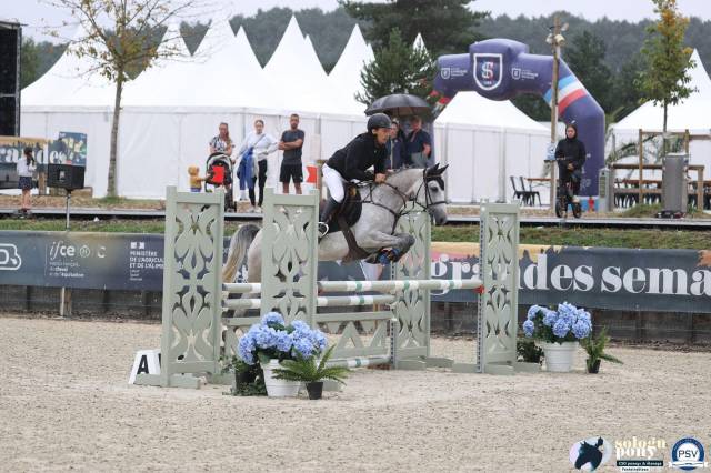 Merrie Franse rijpony PFS Te koop 2019 Schimmel ,  ARON N