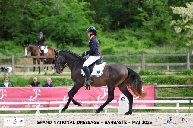 Hengst Lusitano Te koop 2021 Schimmel
