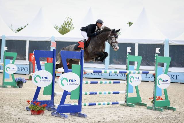 Merrie Selle Français Te koop 2019 Schimmel ,  Cicave du talus