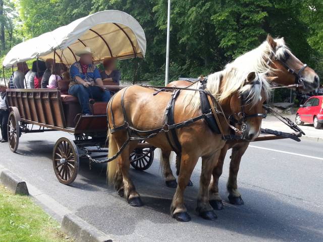Rijtuigen - Wagonnette - Ander merk -  