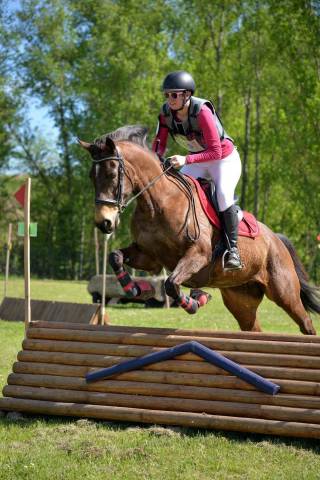 Merrie Bekend ras Te koop 2014 Isabel
