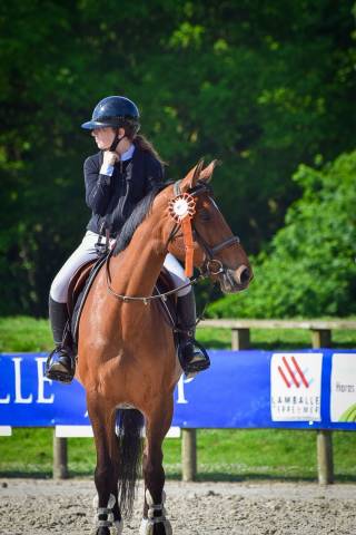 Merrie Selle Français Te koop 2013 Donker bruin / bai ,  OGRION DES CHAMPS