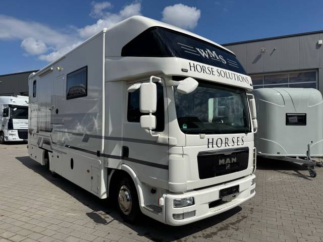 Zware paardenvrachtwagen (groot rijbewijs) Man MAN 0 Tweedehands