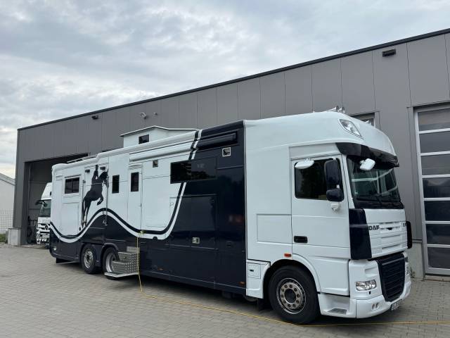 Zware paardenvrachtwagen (groot rijbewijs) Daf DAF 0 Tweedehands