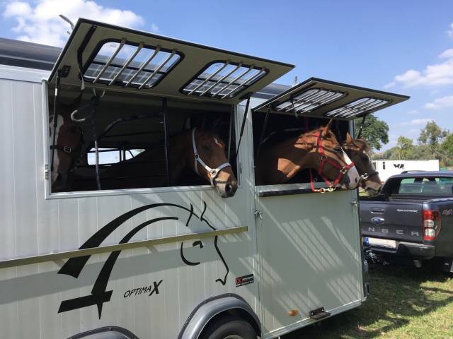 Paardentrailers Cheval Liberté Optimax  4 Paarden 2018 Tweedehands